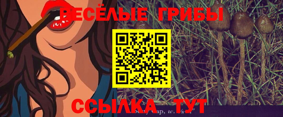 Ставрополь  Галлюциногенные грибы MAGIC MUSHROOMS  Псилоцибиновые грибы GOLDEN TEACHER  Вход с VPN 