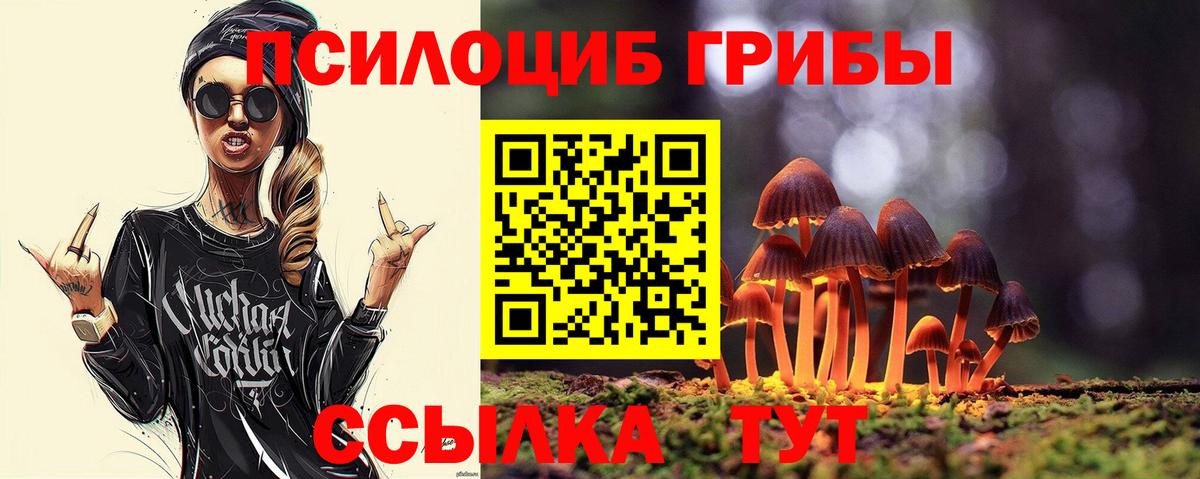 Галлюциногенные грибы Cubensis Ставрополь
